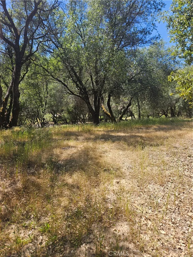 1371 Moccasin Trail Placerville, CA 95667
