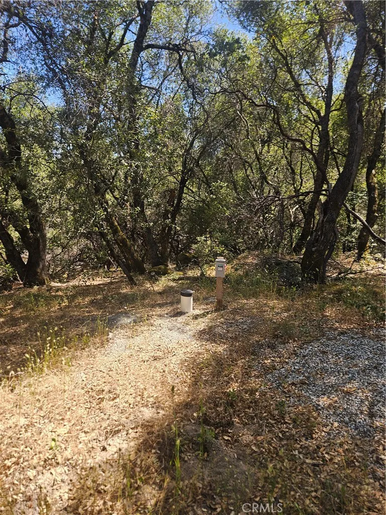 1371 Moccasin Trail Placerville, CA 95667
