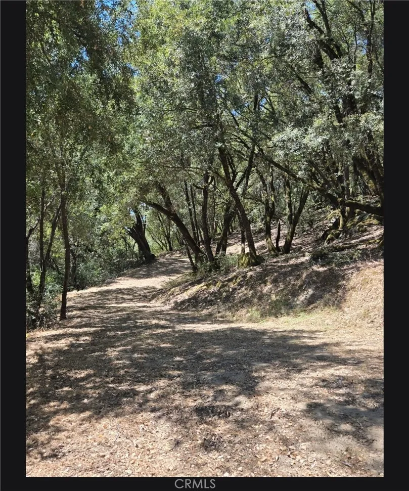 1371 Moccasin Trail Placerville, CA 95667
