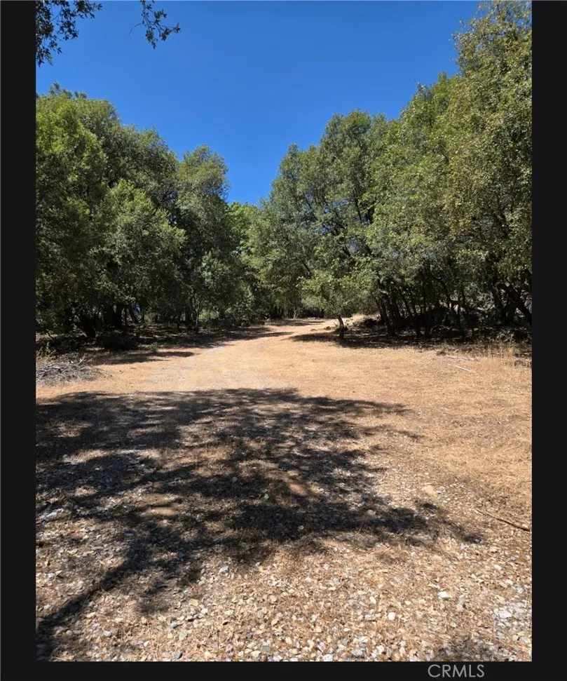 1371 Moccasin Trail Placerville, CA 95667