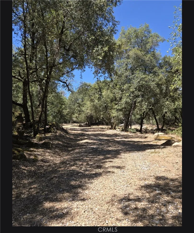1371 Moccasin Trail Placerville, CA 95667