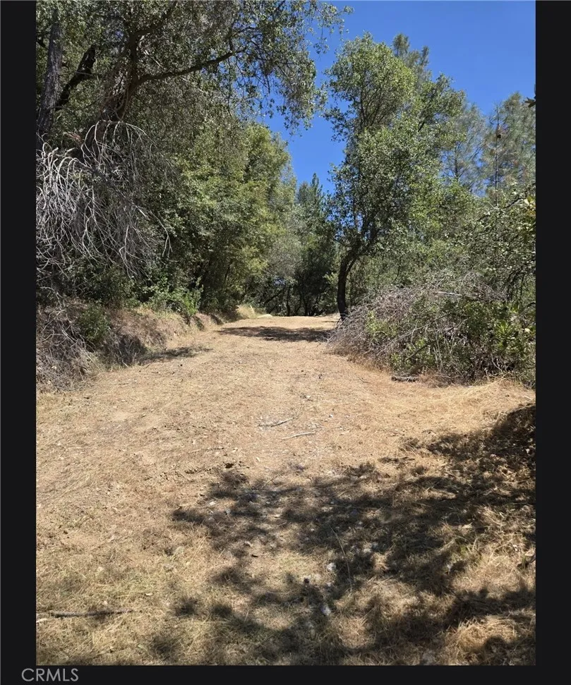 1371 Moccasin Trail Placerville, CA 95667