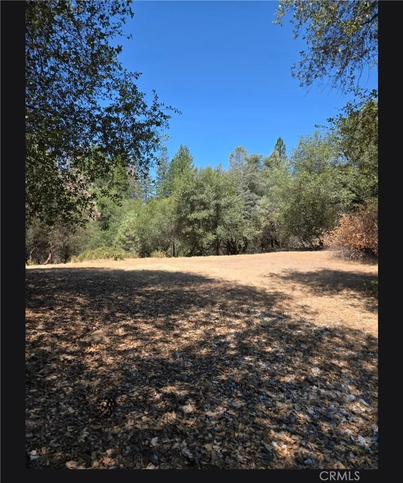 1371 Moccasin Trail Placerville, CA 95667