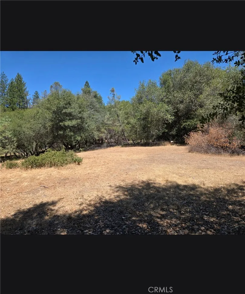 1371 Moccasin Trail Placerville, CA 95667