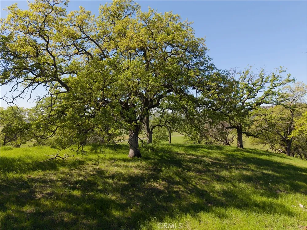 4053 Hidden Valley Butte Valley, CA 95965