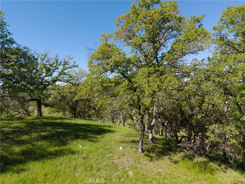 4053 Hidden Valley Butte Valley, CA 95965
