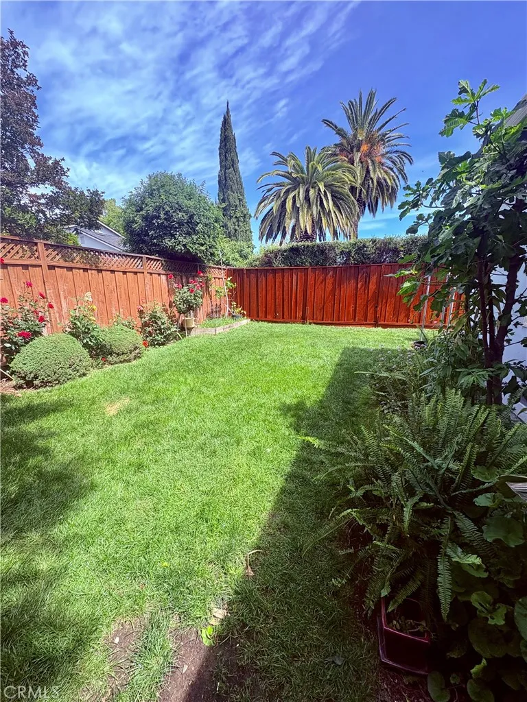 227 Burning Tree Drive San Jose, CA 95119