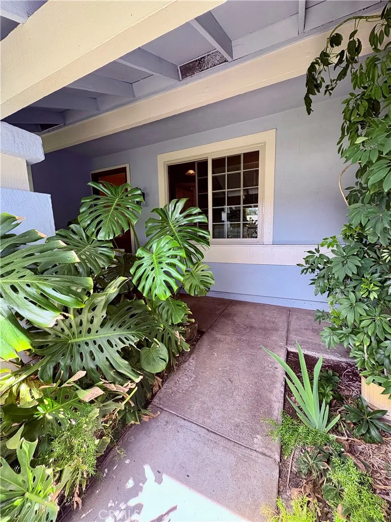 227 Burning Tree Drive San Jose, CA 95119