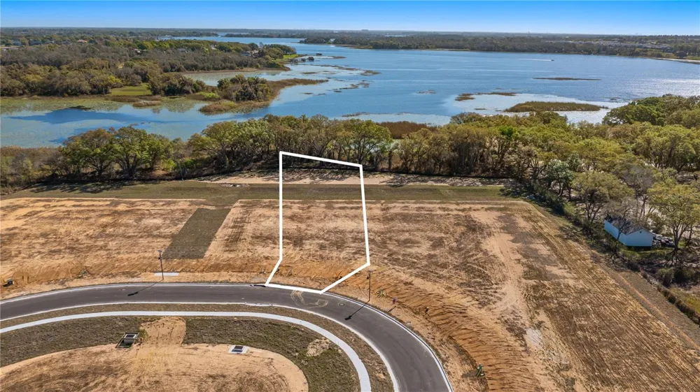 MARIGOLD BELLE CIRCLE Clermont, FL 34711