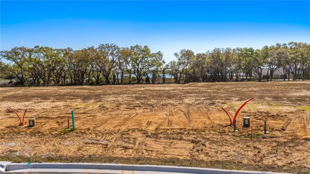 MARIGOLD BELLE CIRCLE Clermont, FL 34711