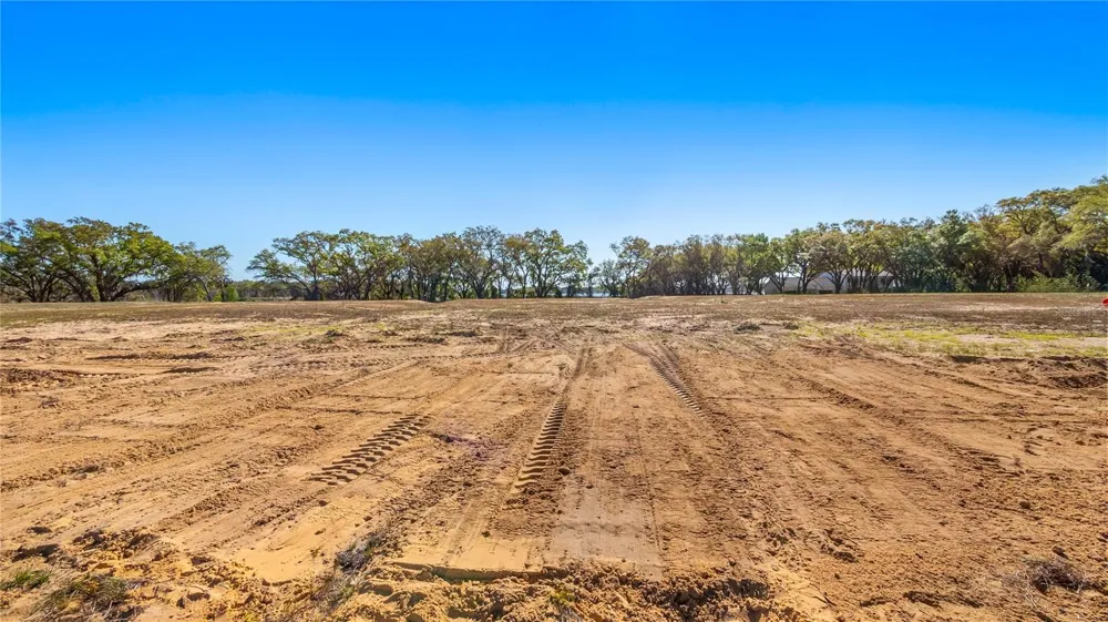 MARIGOLD BELLE CIRCLE Clermont, FL 34711