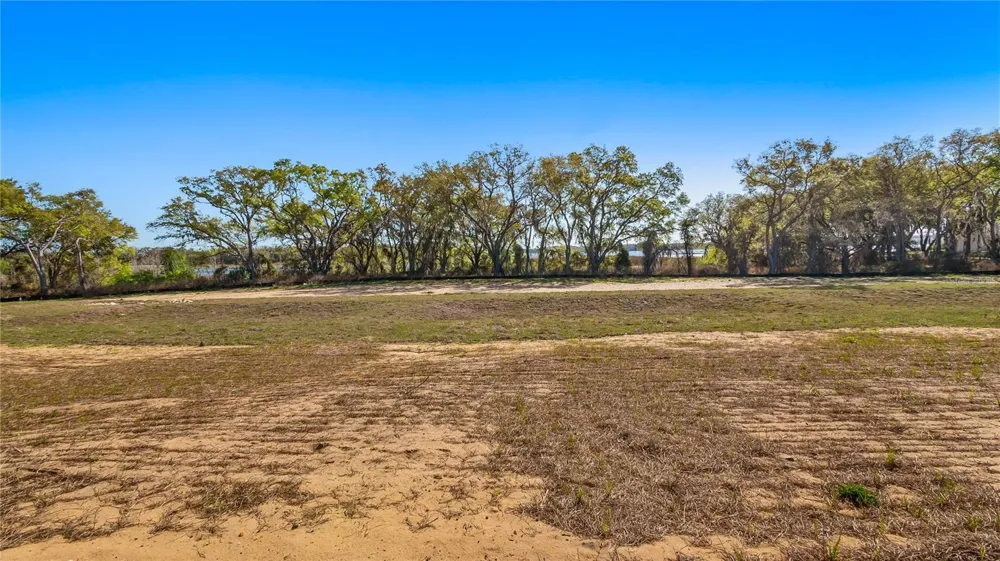 MARIGOLD BELLE CIRCLE Clermont, FL 34711