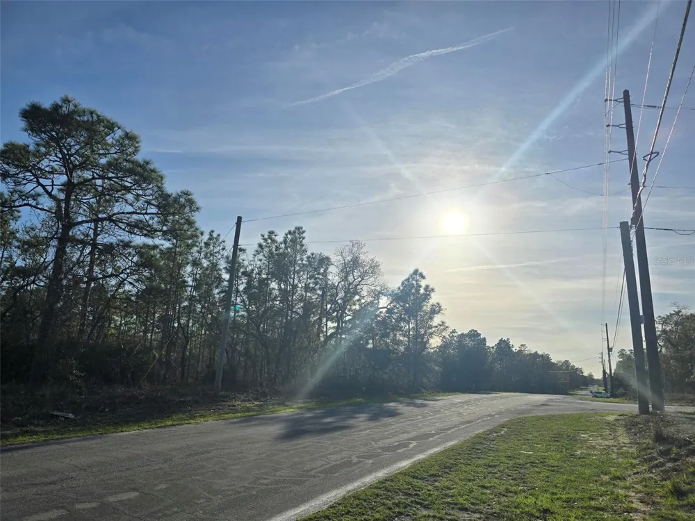 13070 QUIGLEY AVENUE Weeki Wachee, FL 34614
