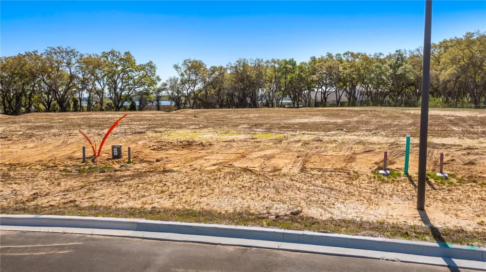 MARIGOLD BELLE CIRCLE Clermont, FL 34711