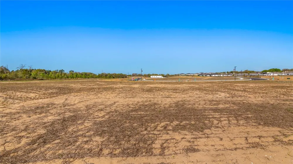 MARIGOLD BELLE CIRCLE Clermont, FL 34711