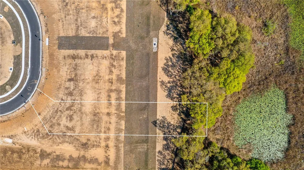 MARIGOLD BELLE CIRCLE Clermont, FL 34711