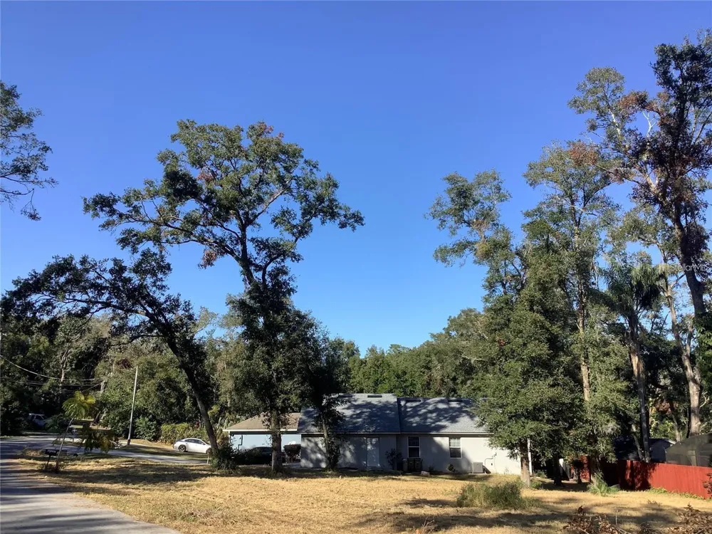 TBD Lot 18 APAWAMIS DRIVE Sorrento, FL 32776