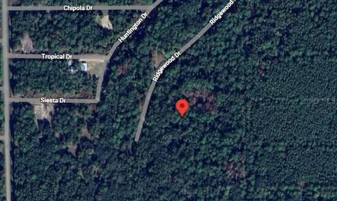 205 SIESTA DRIVE