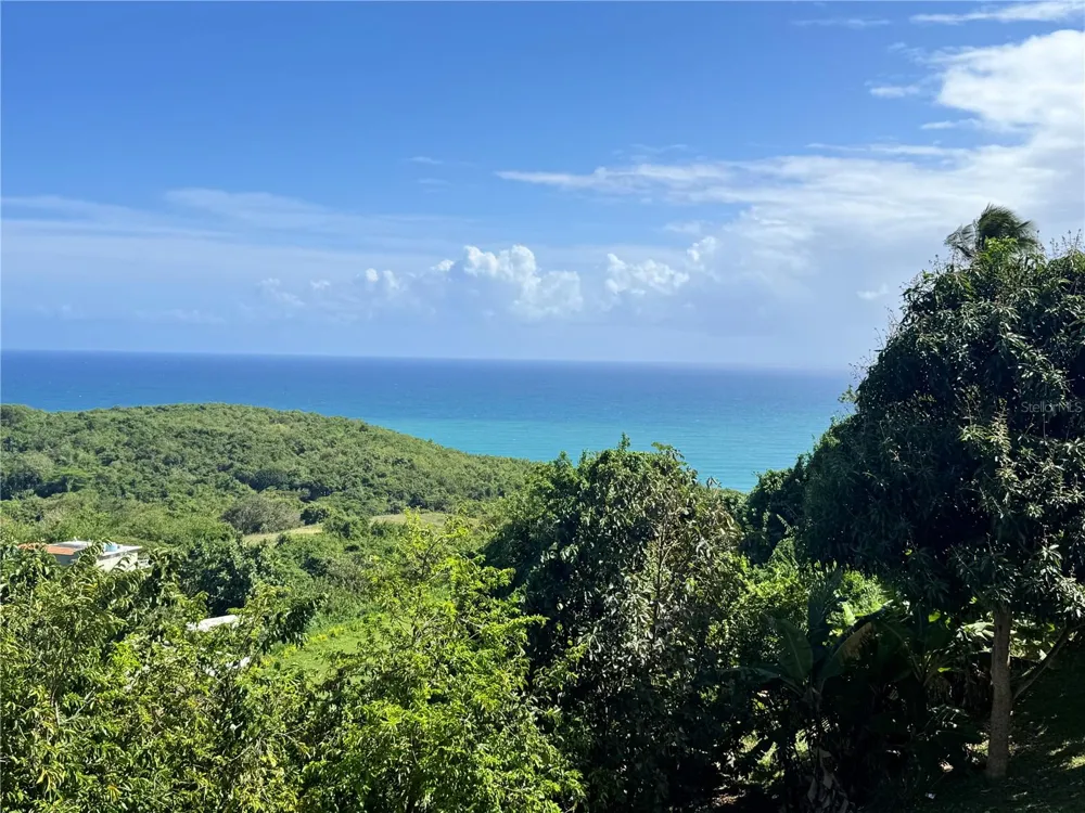 El Cocal Country Club BO. CAMINO NUEVO #2 Yabucoa, PR 00767