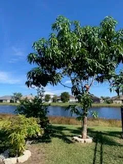 9975 BISHOP CREEK WAY Punta Gorda, FL 33950