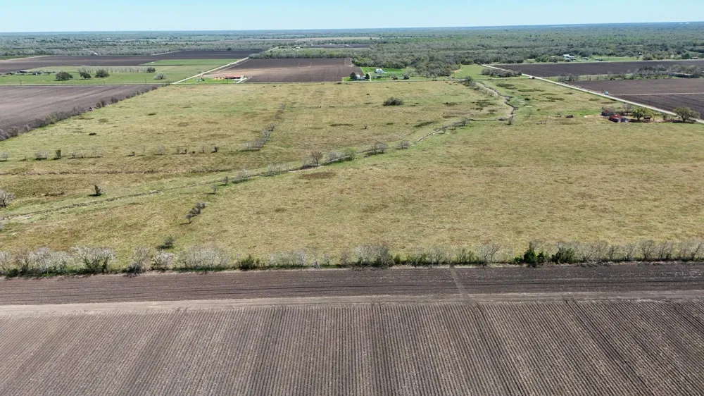 4439 Schultz Road Damon, TX 77430
