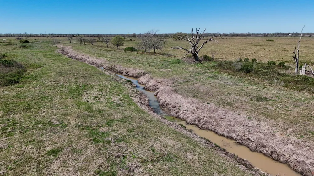 4439 Schultz Road Damon, TX 77430