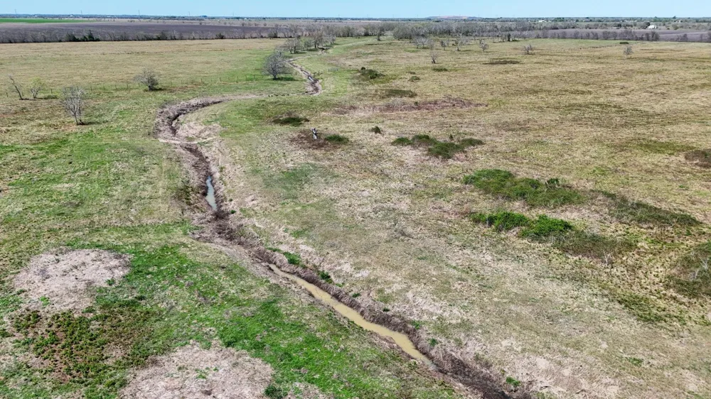 4439 Schultz Road Damon, TX 77430