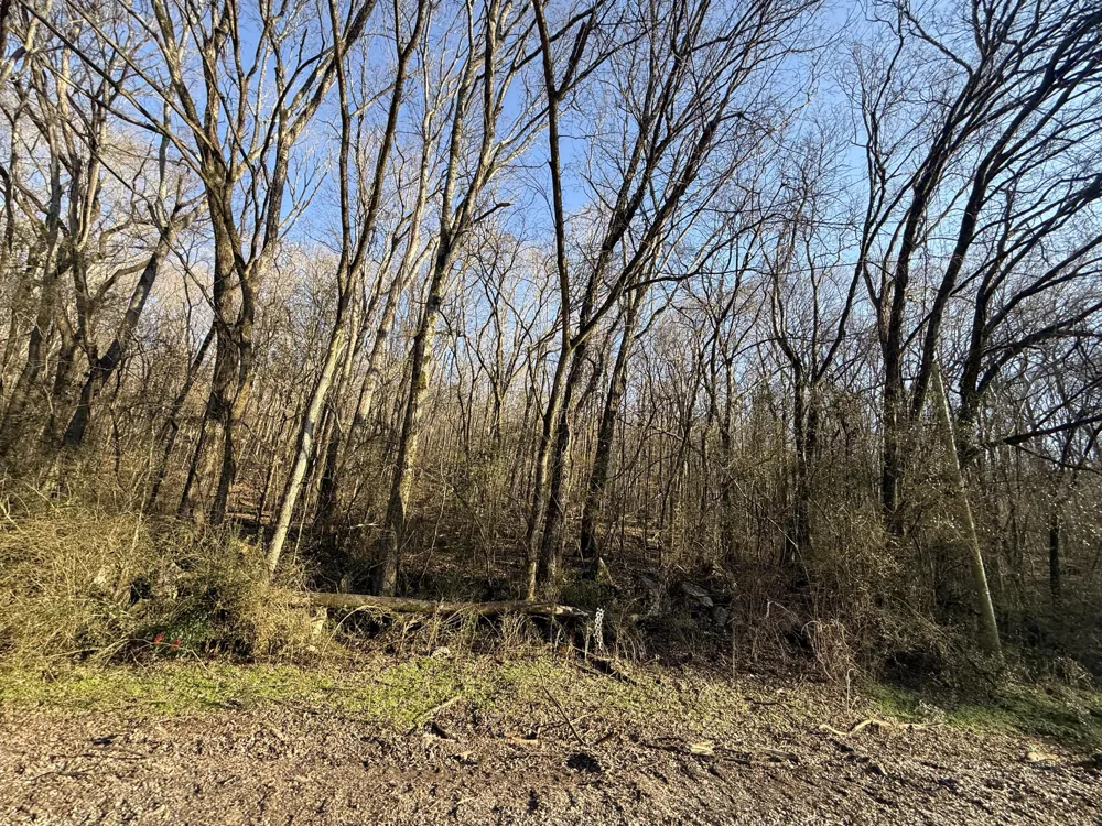 County Rd 91 Bryant, AL 35958