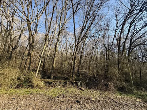 County Rd 91