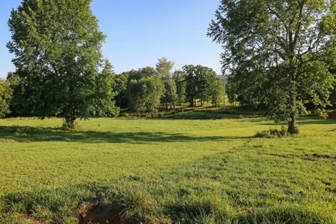 1007 Luptonville Crossing