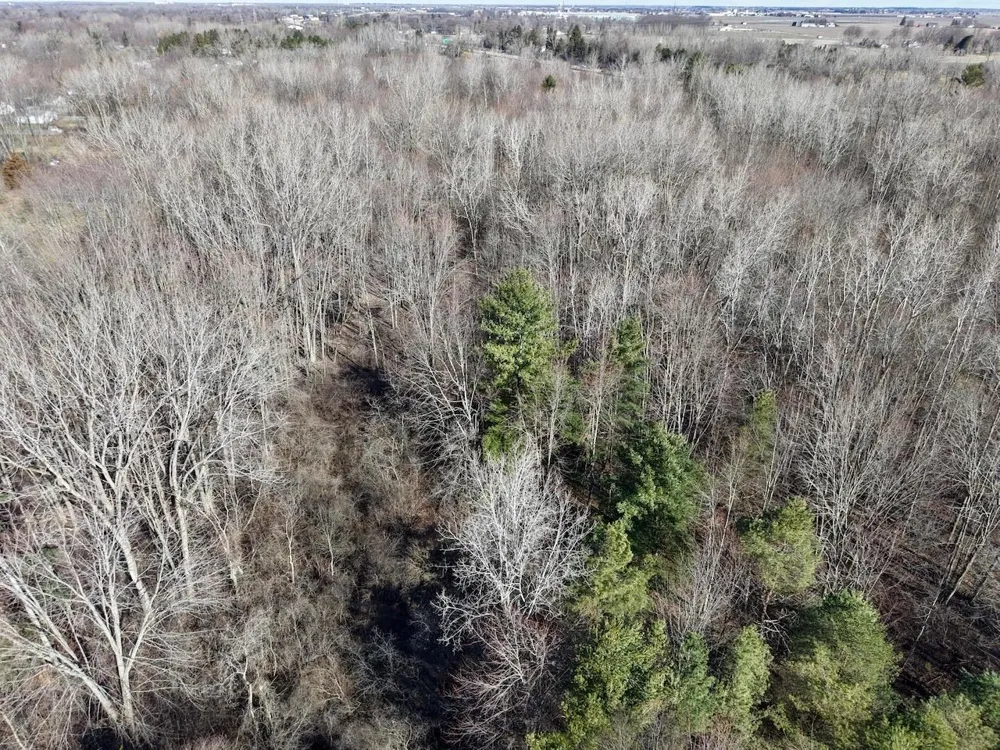 3600 King Road Bridgeport Charter Township, MI 48601