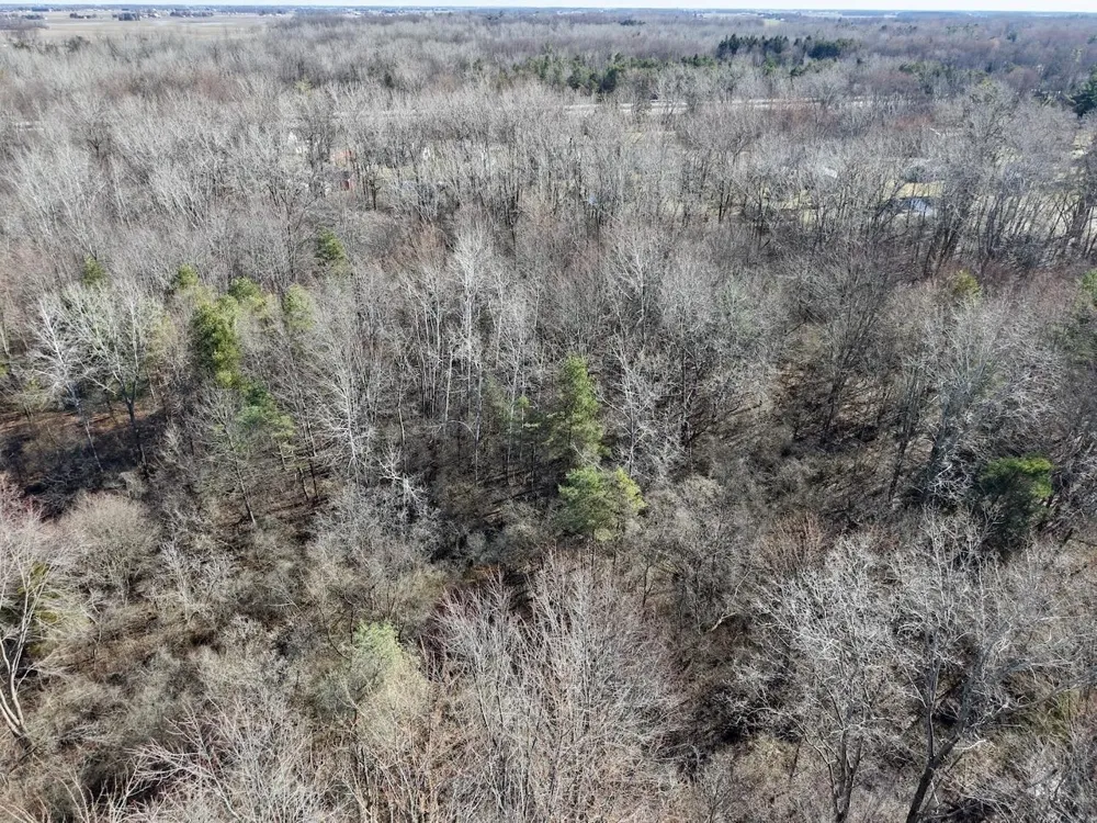 3600 King Road Bridgeport Charter Township, MI 48601