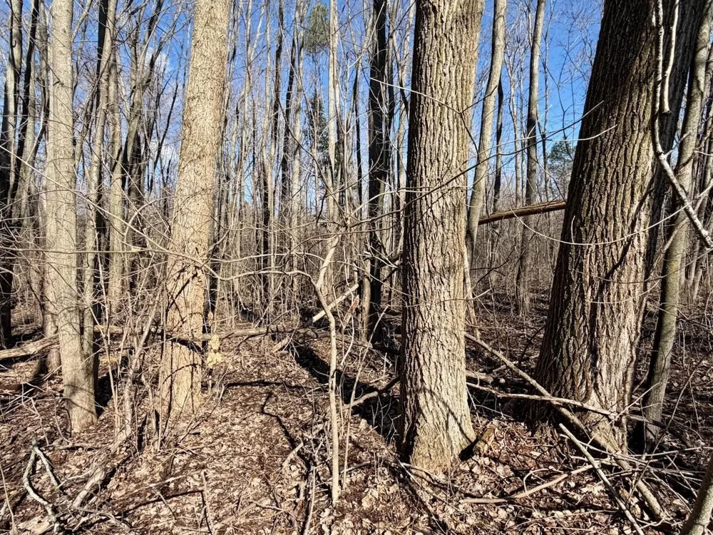 3600 King Road Bridgeport Charter Township, MI 48601