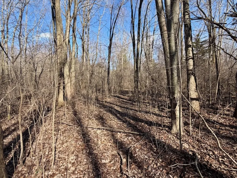 3600 King Road Bridgeport Charter Township, MI 48601