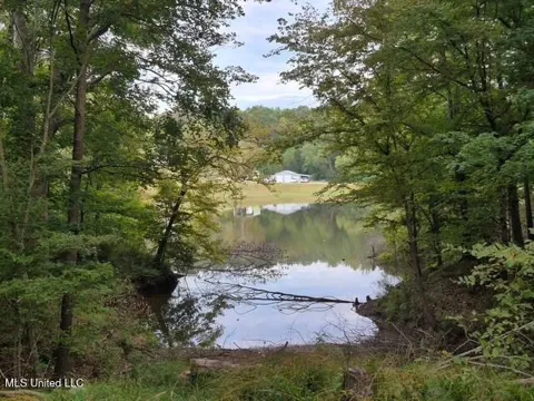 Lake View Dr