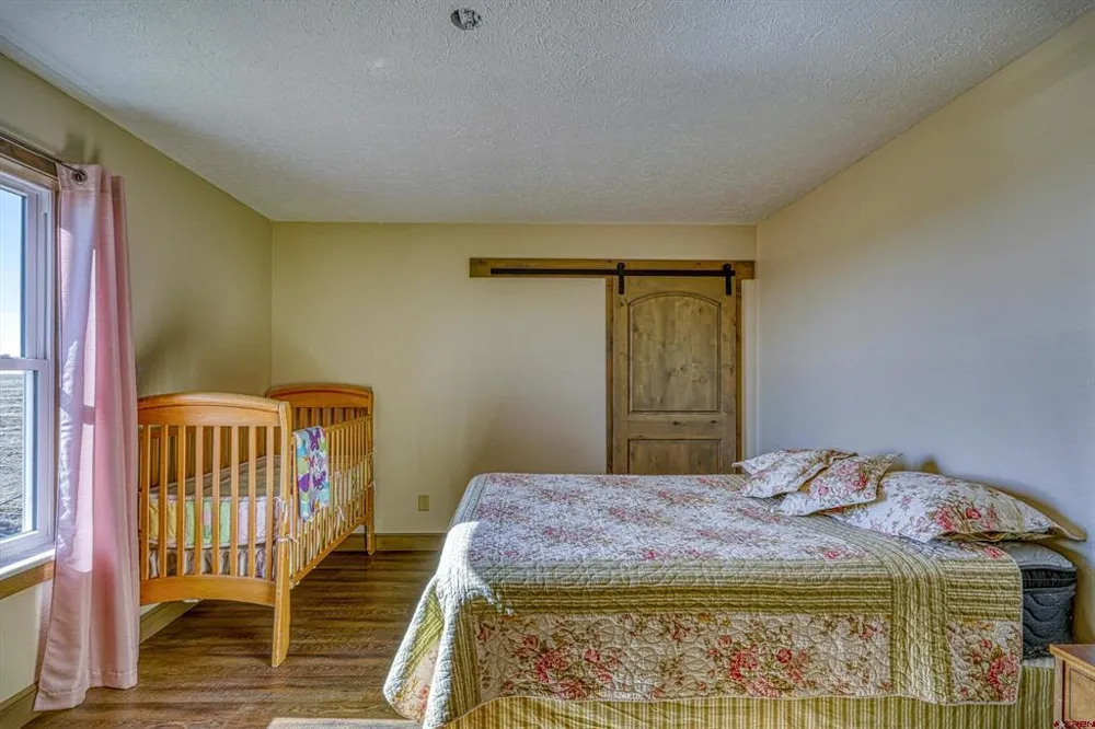 6729 County Road DD.5 La Jara, CO 81140