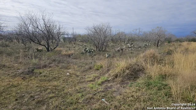 949 W Ave K Lots 3283-3285 Christine, TX 78012