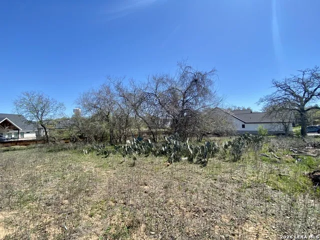 117 Red Oak Trail La Vernia, TX 78121