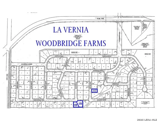 125 Ash Parkway La Vernia, TX 78121