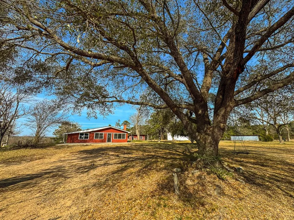 1 Fm 328 Huntington, TX 75949