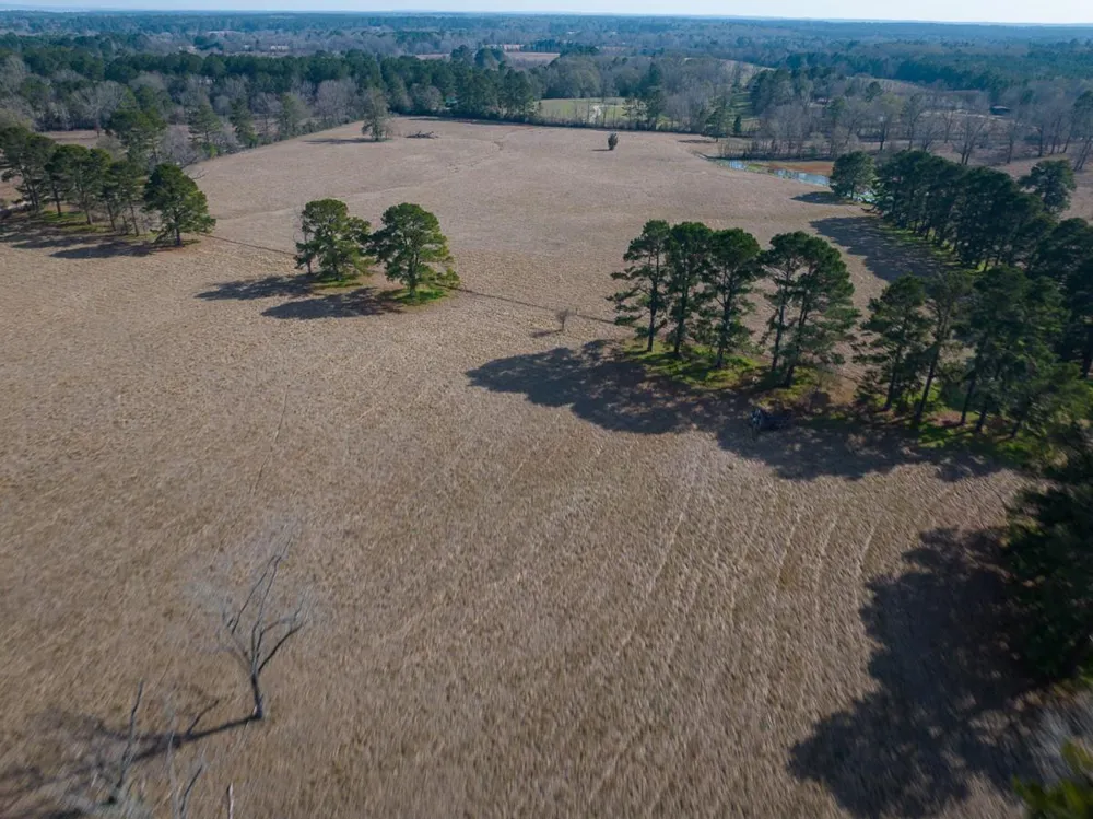 1 Fm 328 Huntington, TX 75949