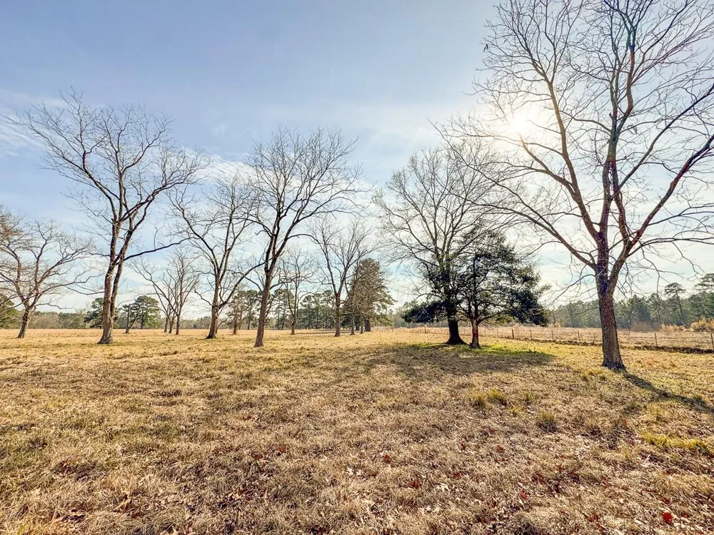 1 Fm 328 Huntington, TX 75949