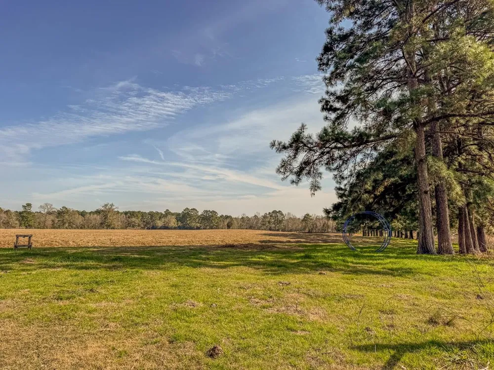1 Fm 328 Huntington, TX 75949