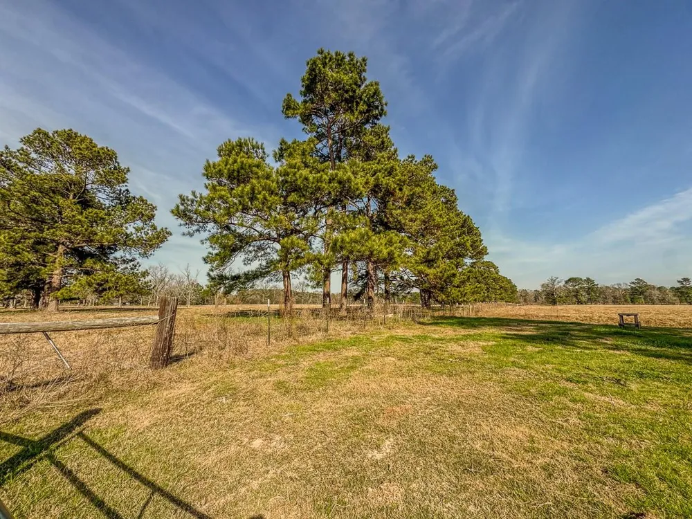 1 Fm 328 Huntington, TX 75949