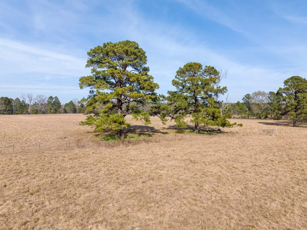 1 Fm 328 Huntington, TX 75949