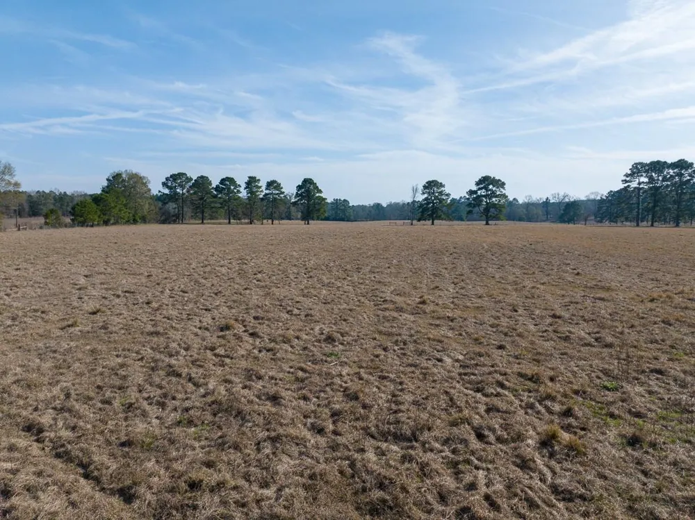 1 Fm 328 Huntington, TX 75949