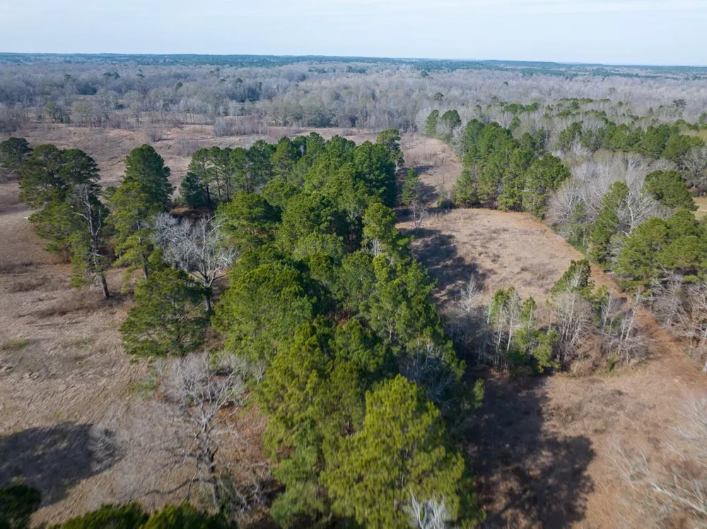 1 Fm 328 Huntington, TX 75949
