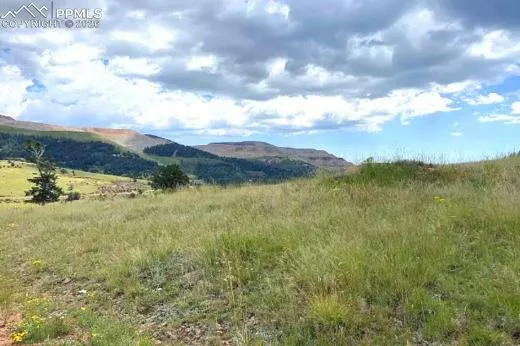 111 Colorado Avenue Cripple Creek, CO 80813