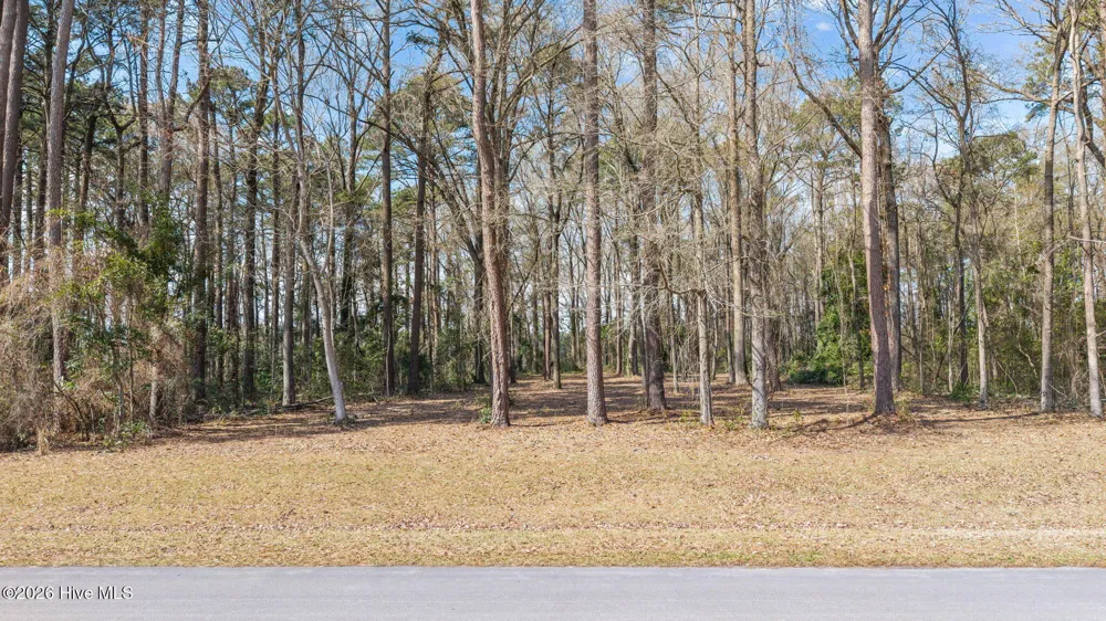 16 Winfield Lane Pinetown, NC 27865