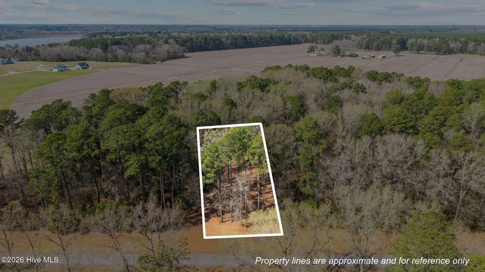 16 Winfield Lane Pinetown, NC 27865